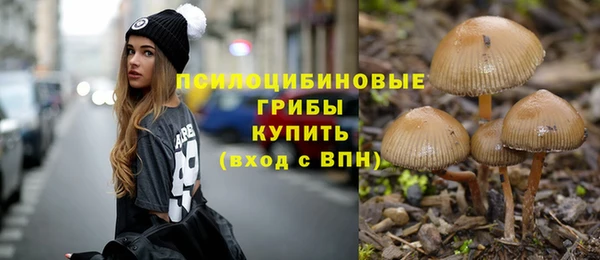 прущая мука Гусев
