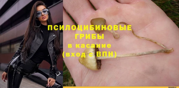 меф Гусь-Хрустальный